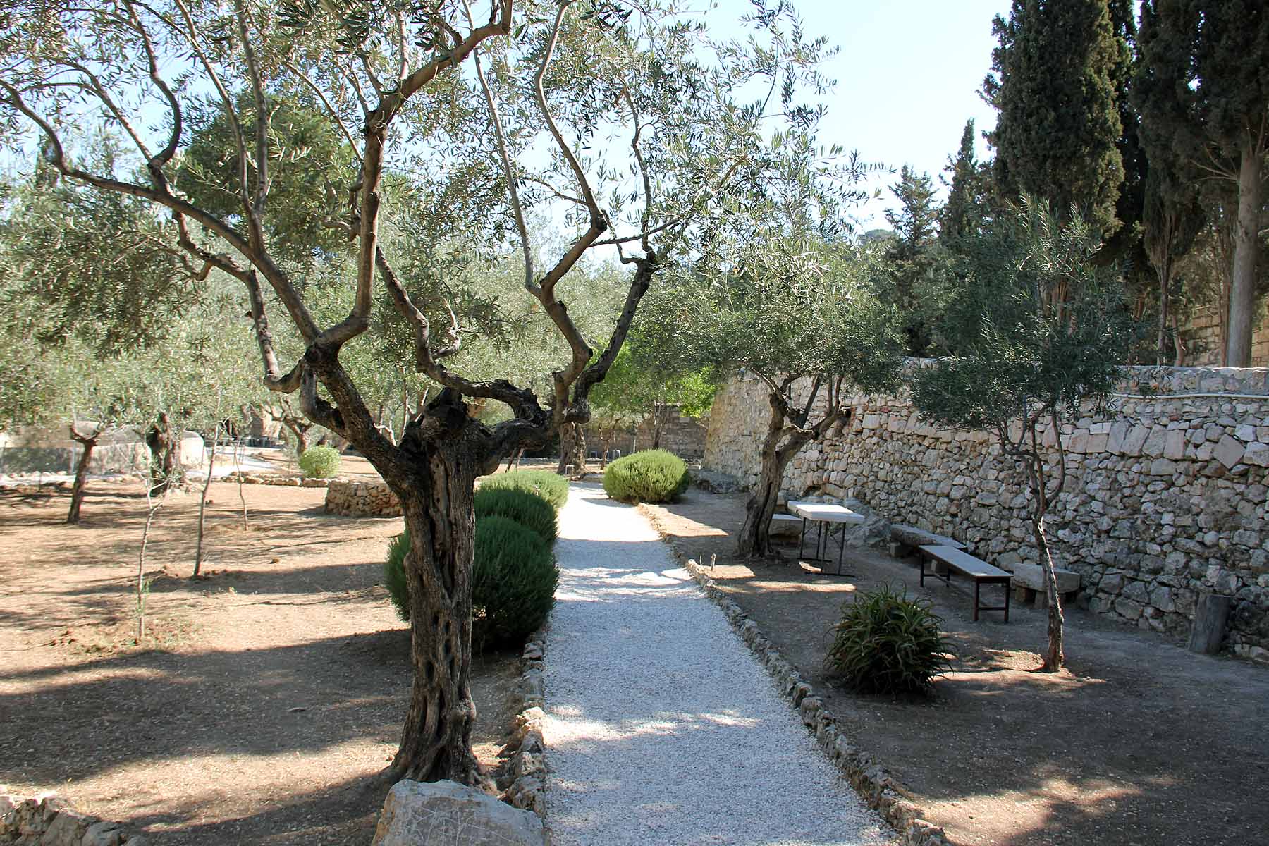 Gethsemane image 5